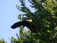 img_4982.jpg